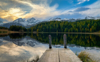 Abwesenheit Herbst und Winter 2025